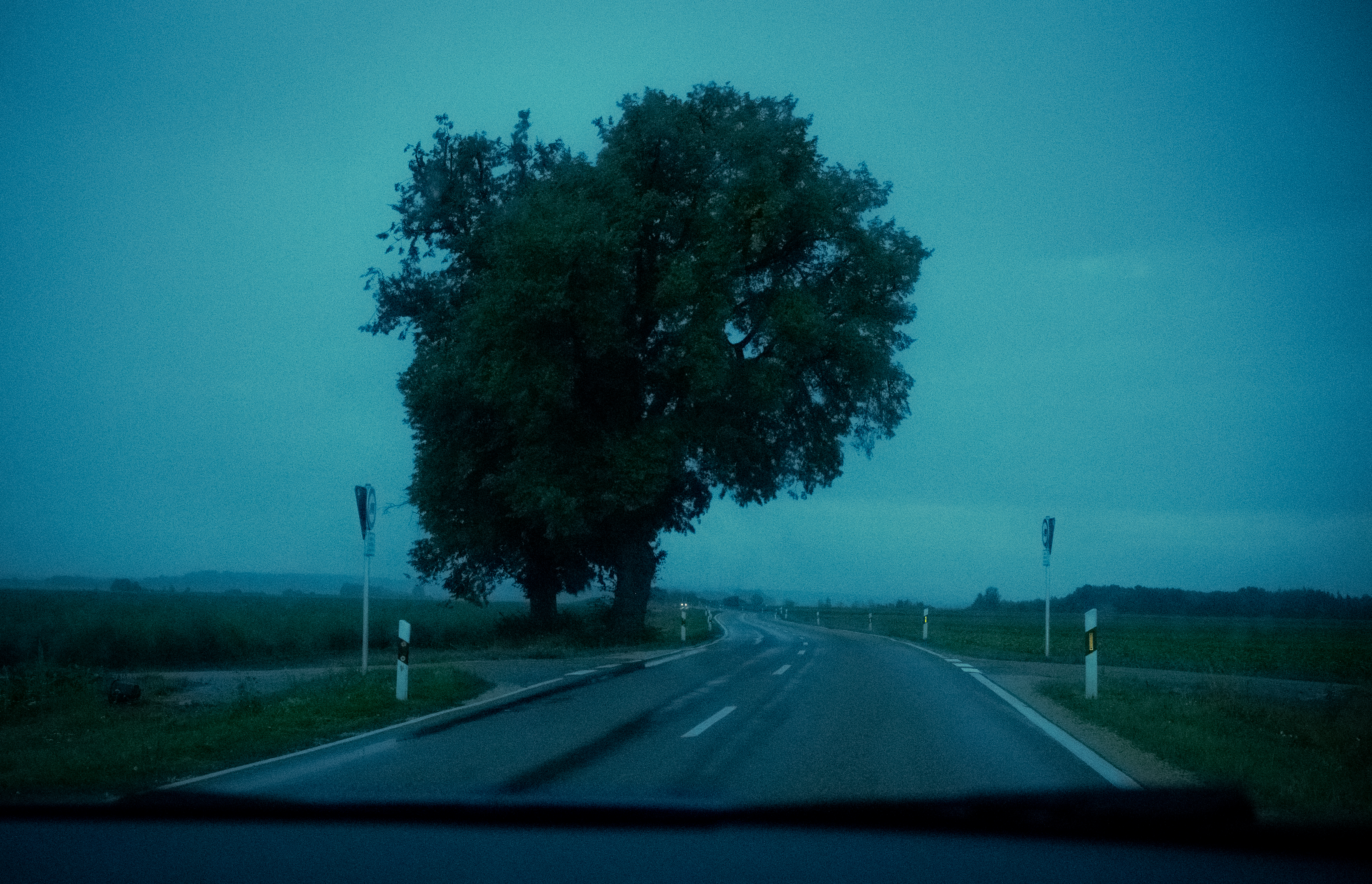 Daily photograph